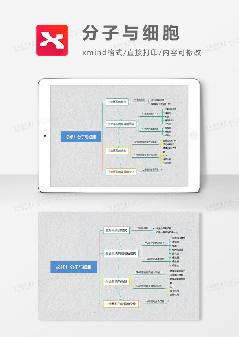 思维导图分子与细胞XMind模板