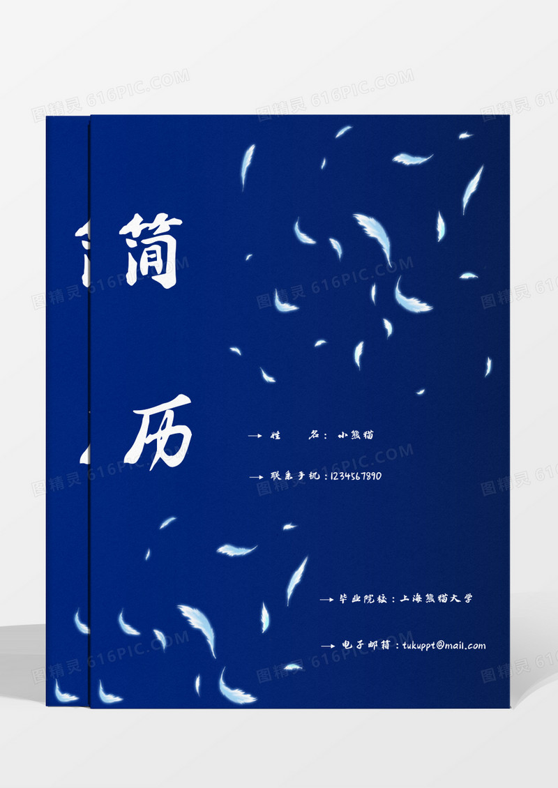 蓝色羽毛导购员成套简历word模板