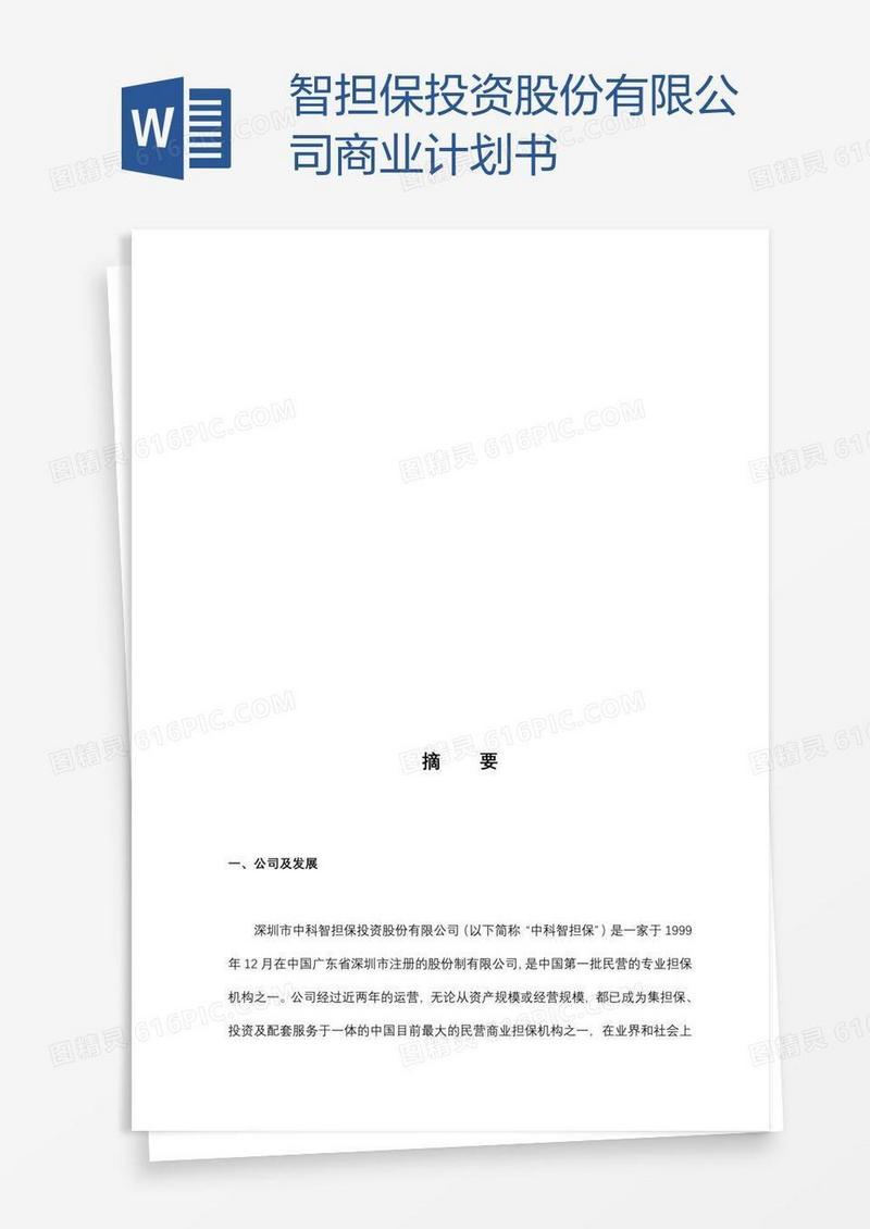 智担保投资股份有限公司商业计划书