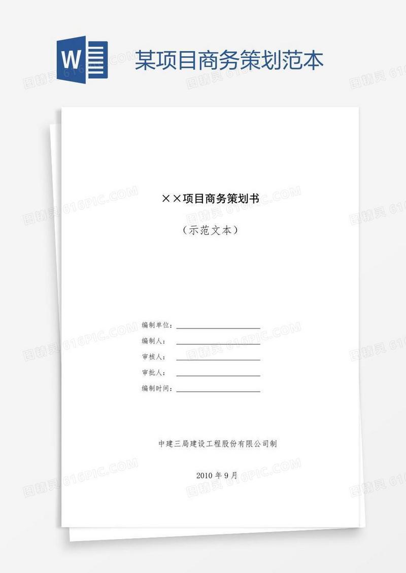 某项目商务策划范本