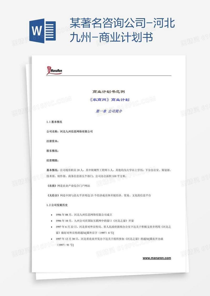 某著名咨询公司-河北九州-商业计划书