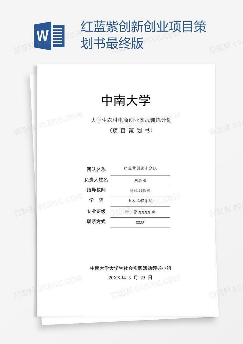 红蓝紫创新创业项目策划书最终版
