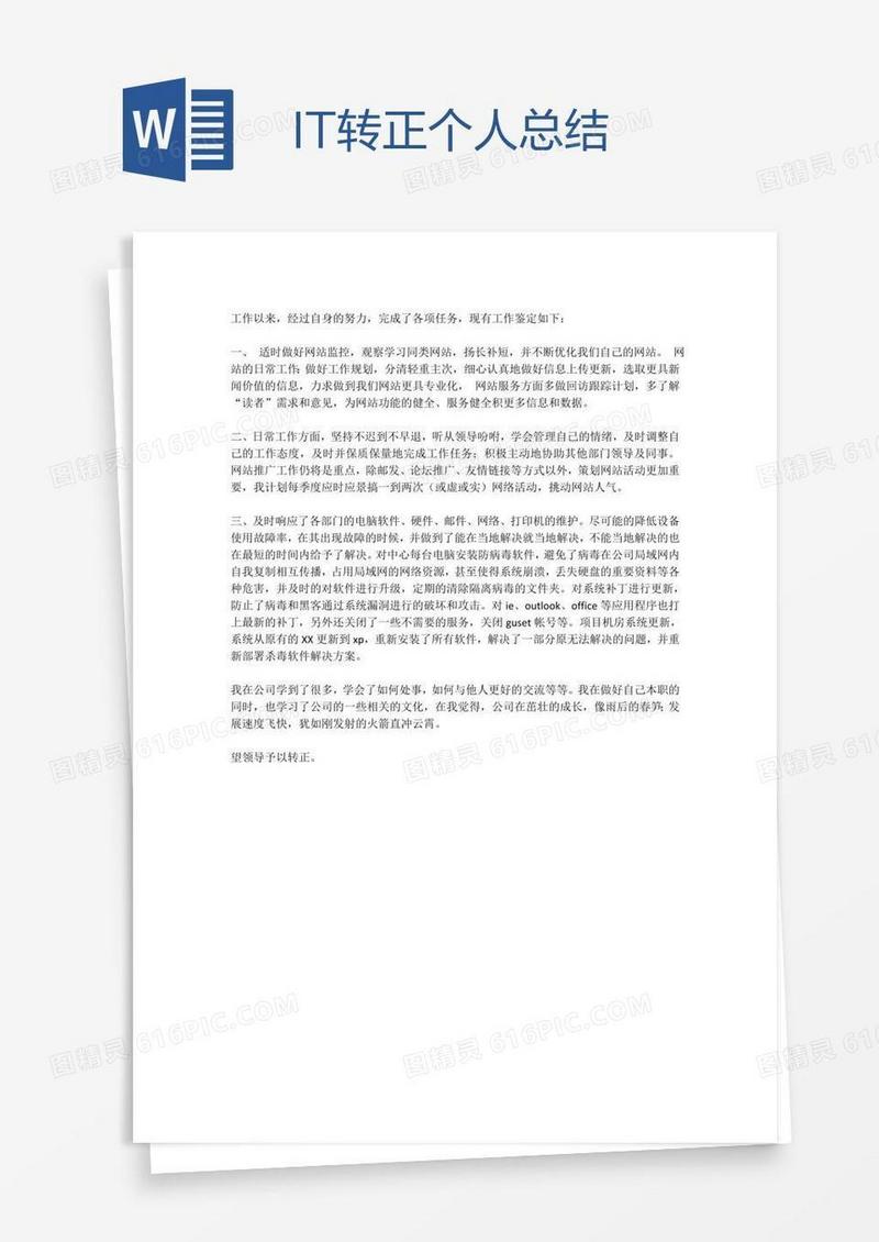 IT转正个人总结