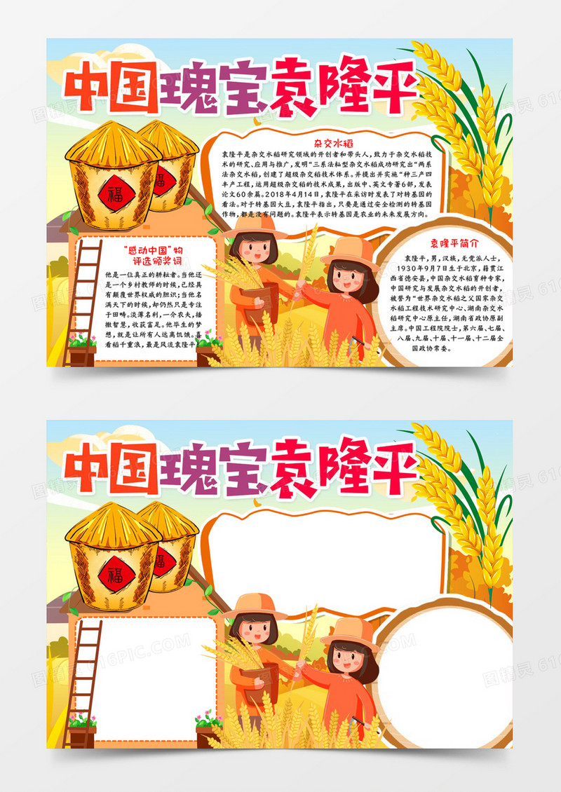 中国瑰宝袁隆平小报
