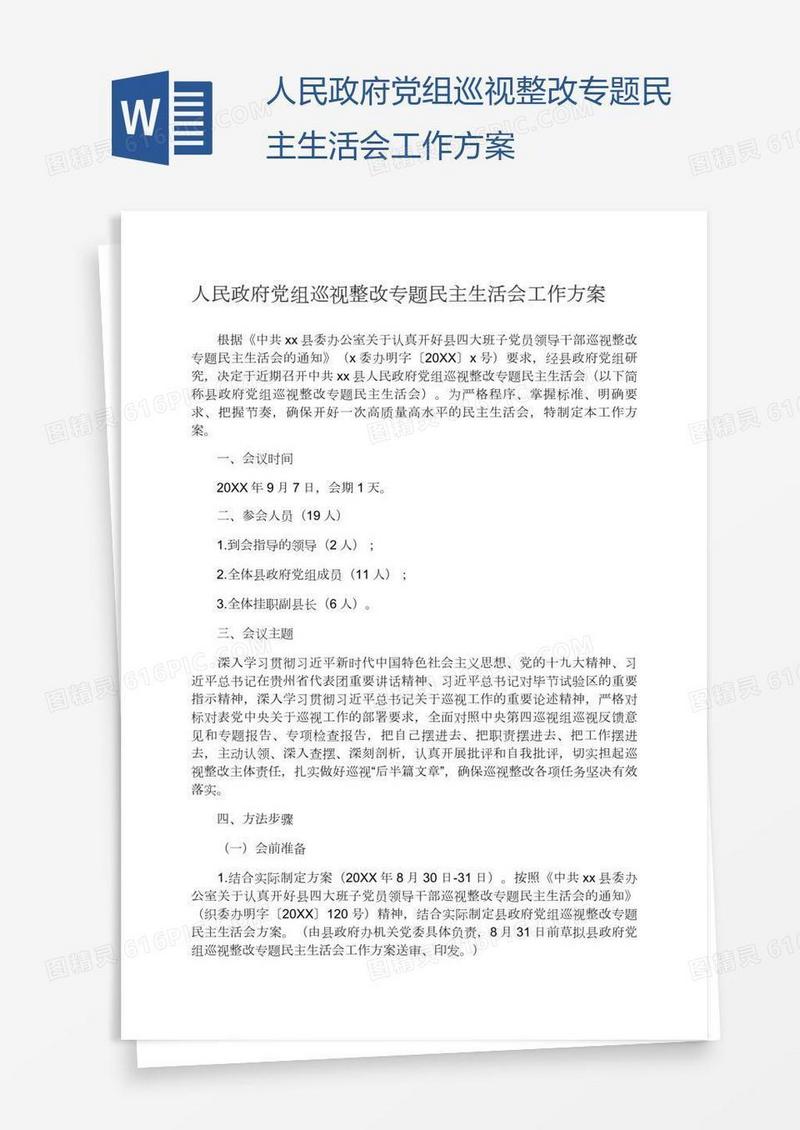 人民政府党组巡视整改专题民主生活会工作方案