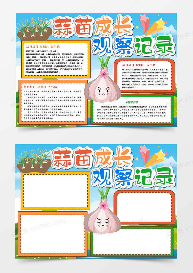 蒜苗成长观察记录手抄报word模板 