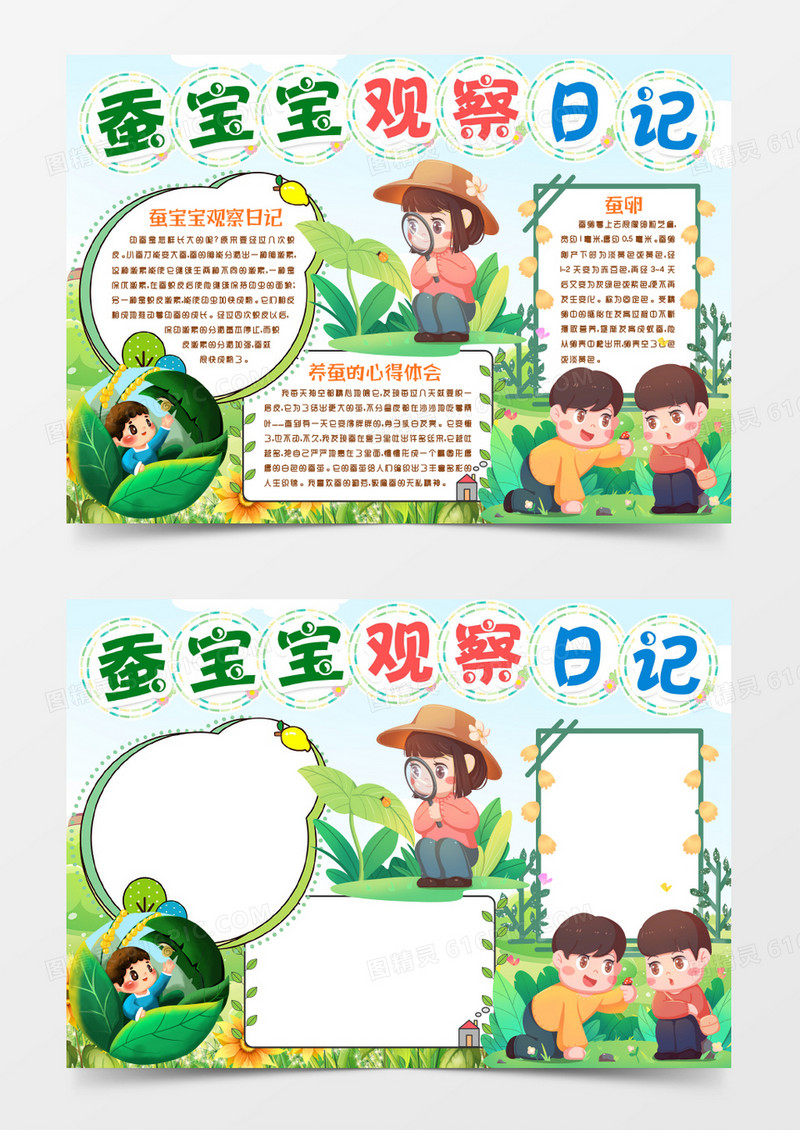 蚕宝宝生物观察日记小报手抄报word模板
