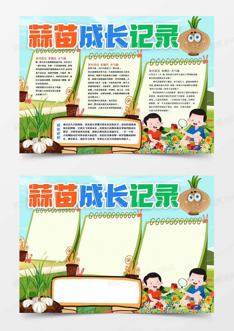 蒜苗成长观察记录小报模板