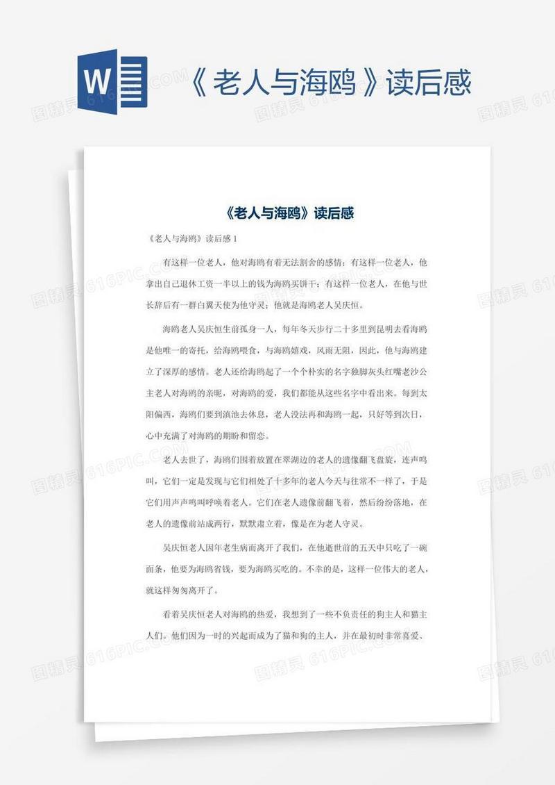 《老人与海鸥》读后感