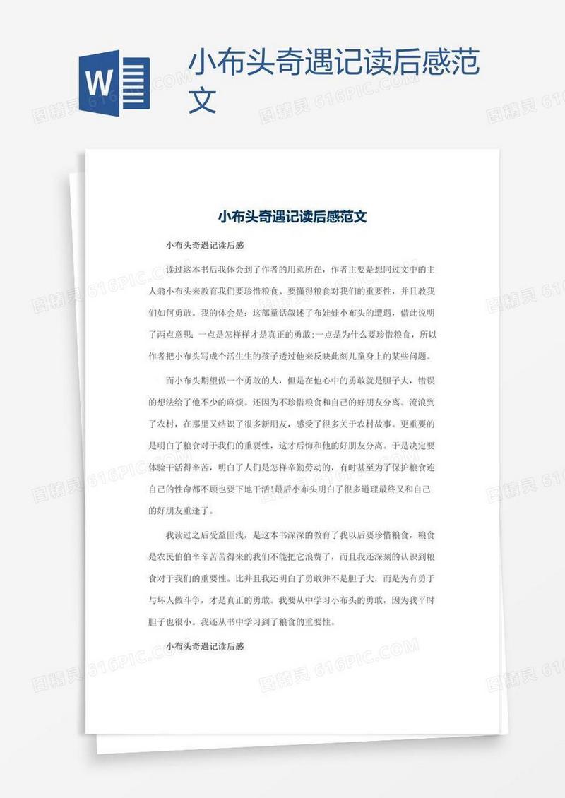 小布头奇遇记读后感范文