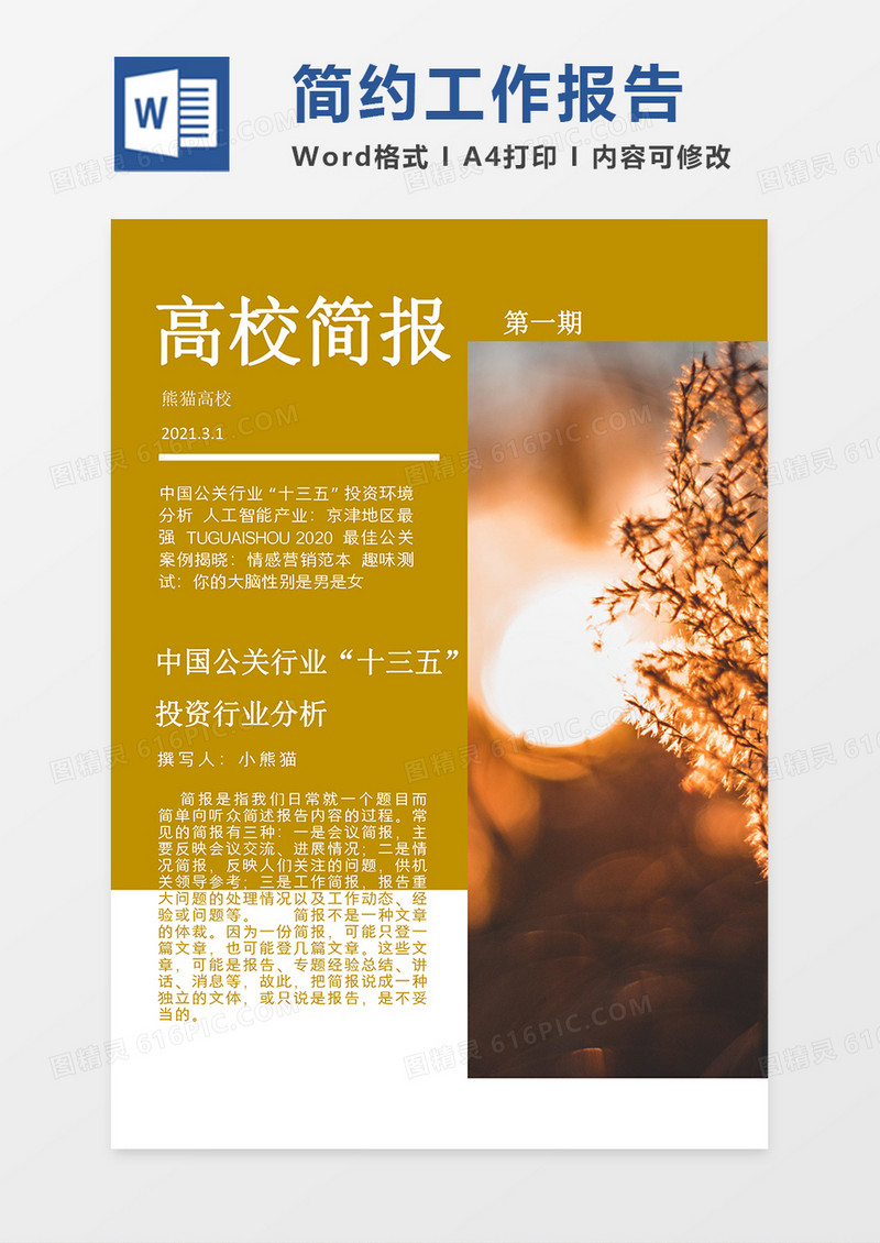 高校简约大气word模板