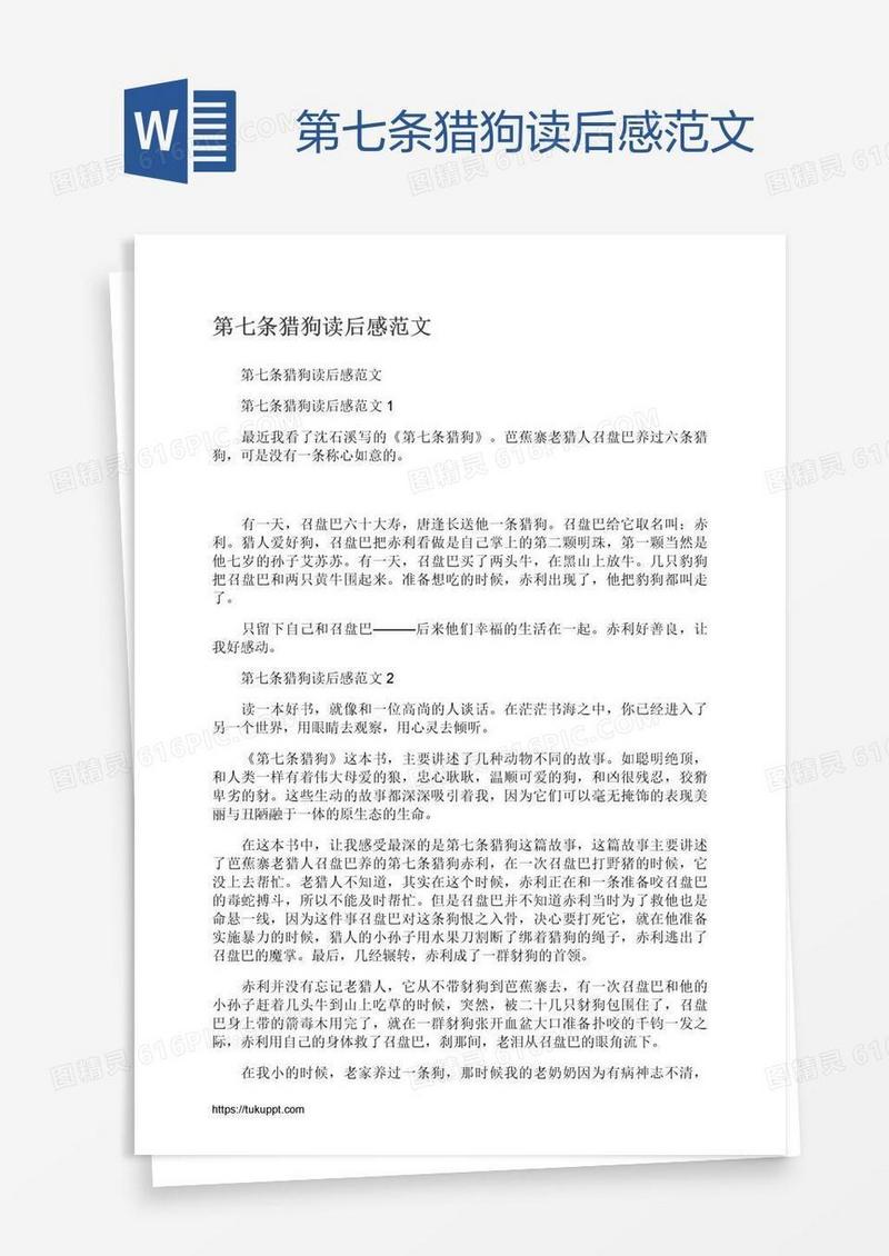 第七条猎狗读后感范文