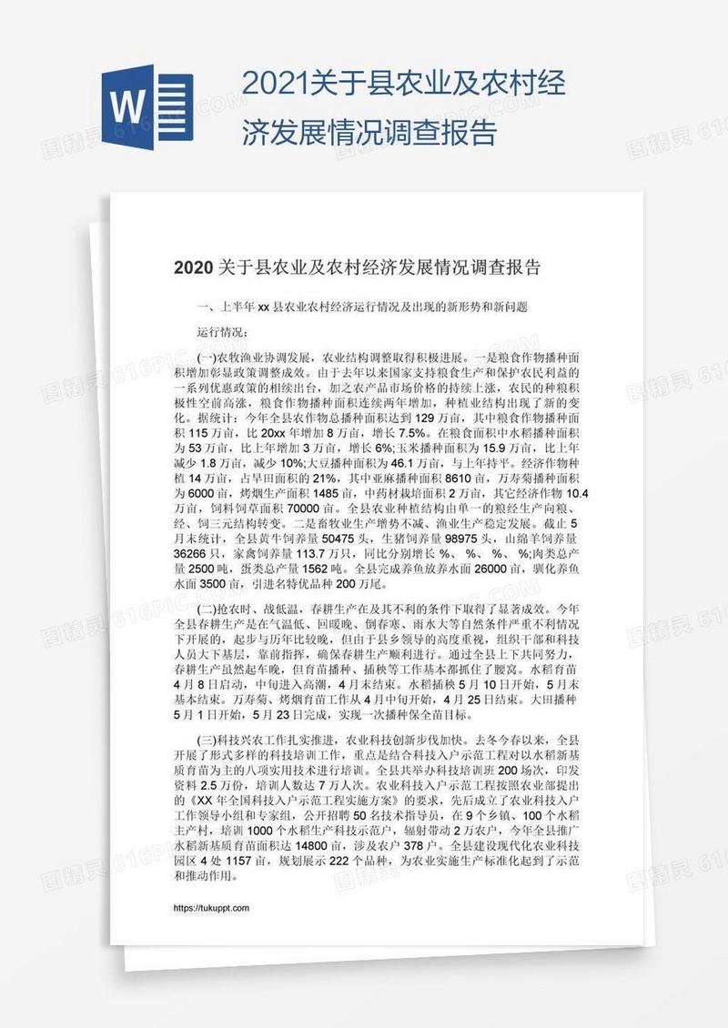 2021关于县农业及农村经济发展情况调查报告
