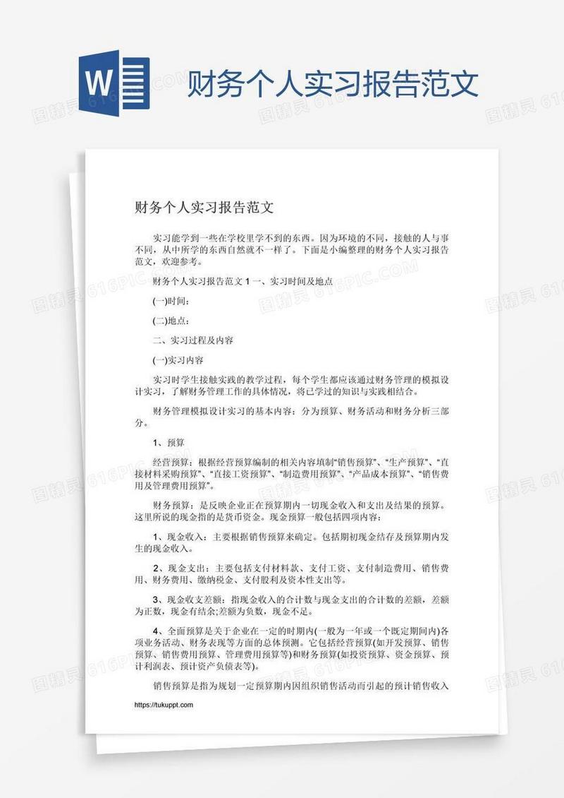 财务个人实习报告范文