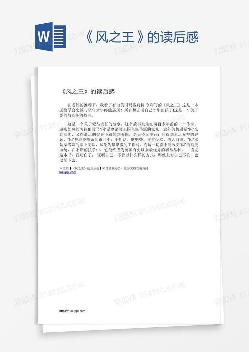 《风之王》的读后感