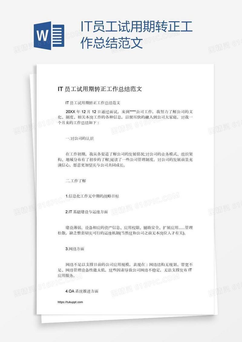 IT员工试用期转正工作总结范文