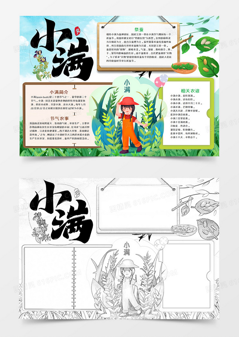 卡通小满节气手抄报word模板