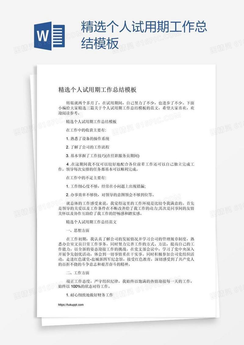 精选个人试用期工作总结模板