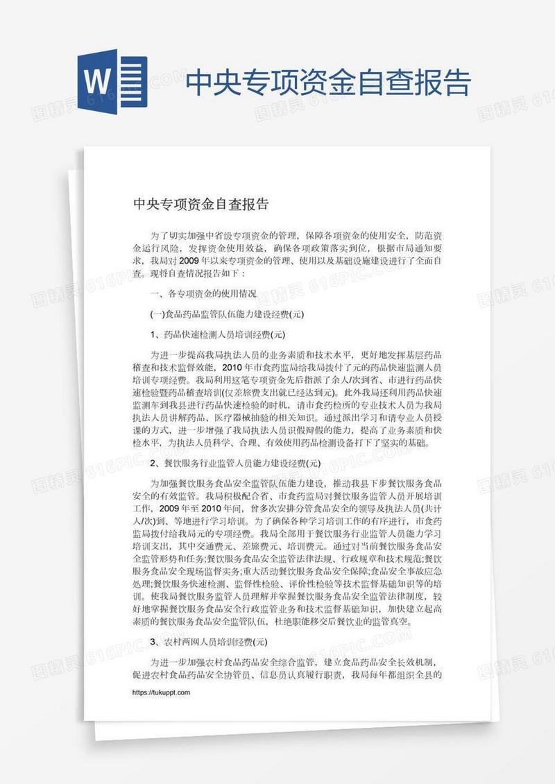 中央专项资金自查报告