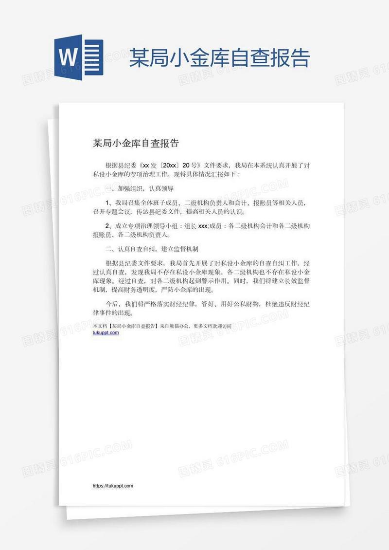 某局小金库自查报告