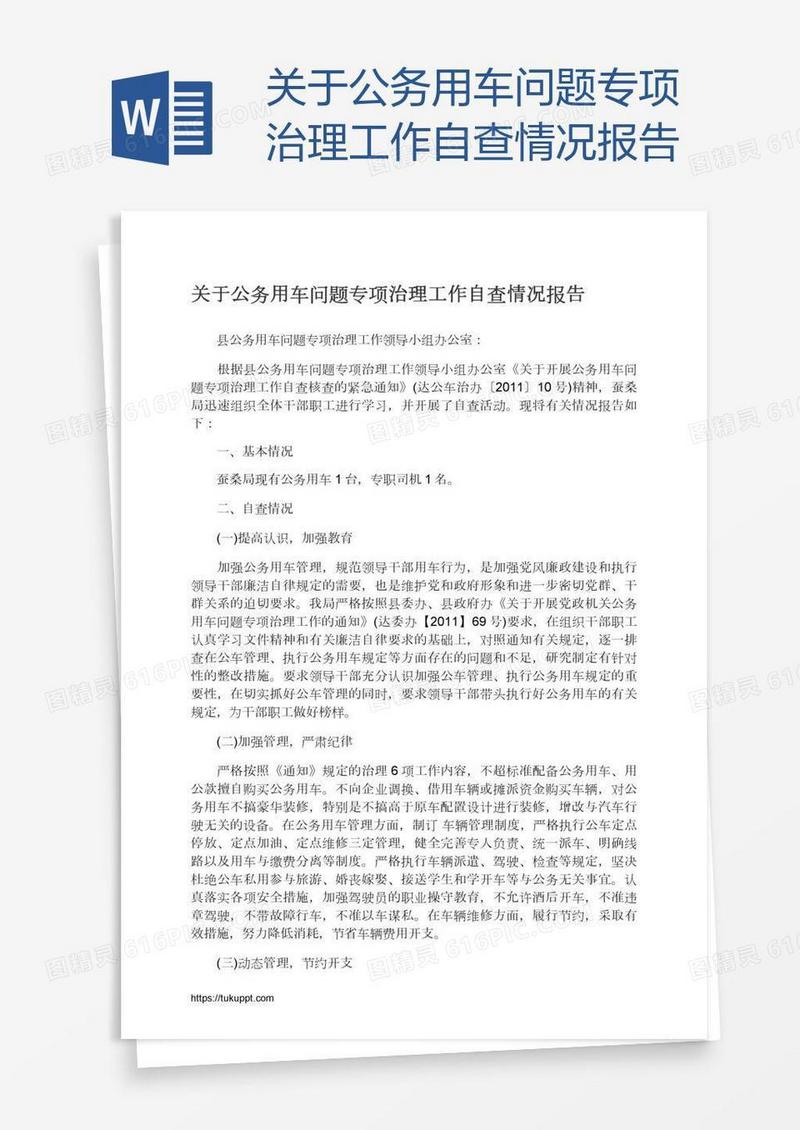 关于公务用车问题专项治理工作自查情况报告