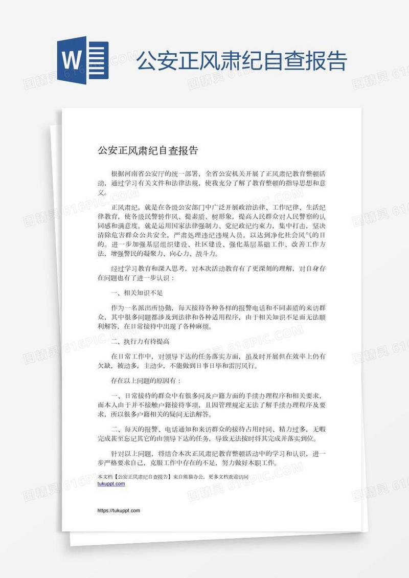 公安正风肃纪自查报告
