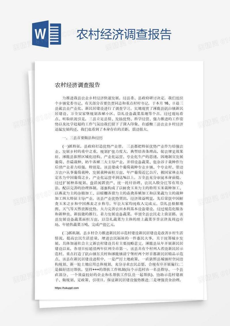 农村经济调查报告