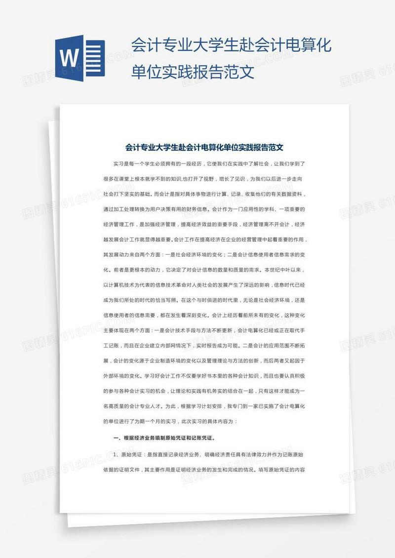 会计专业大学生赴会计电算化单位实践报告范文