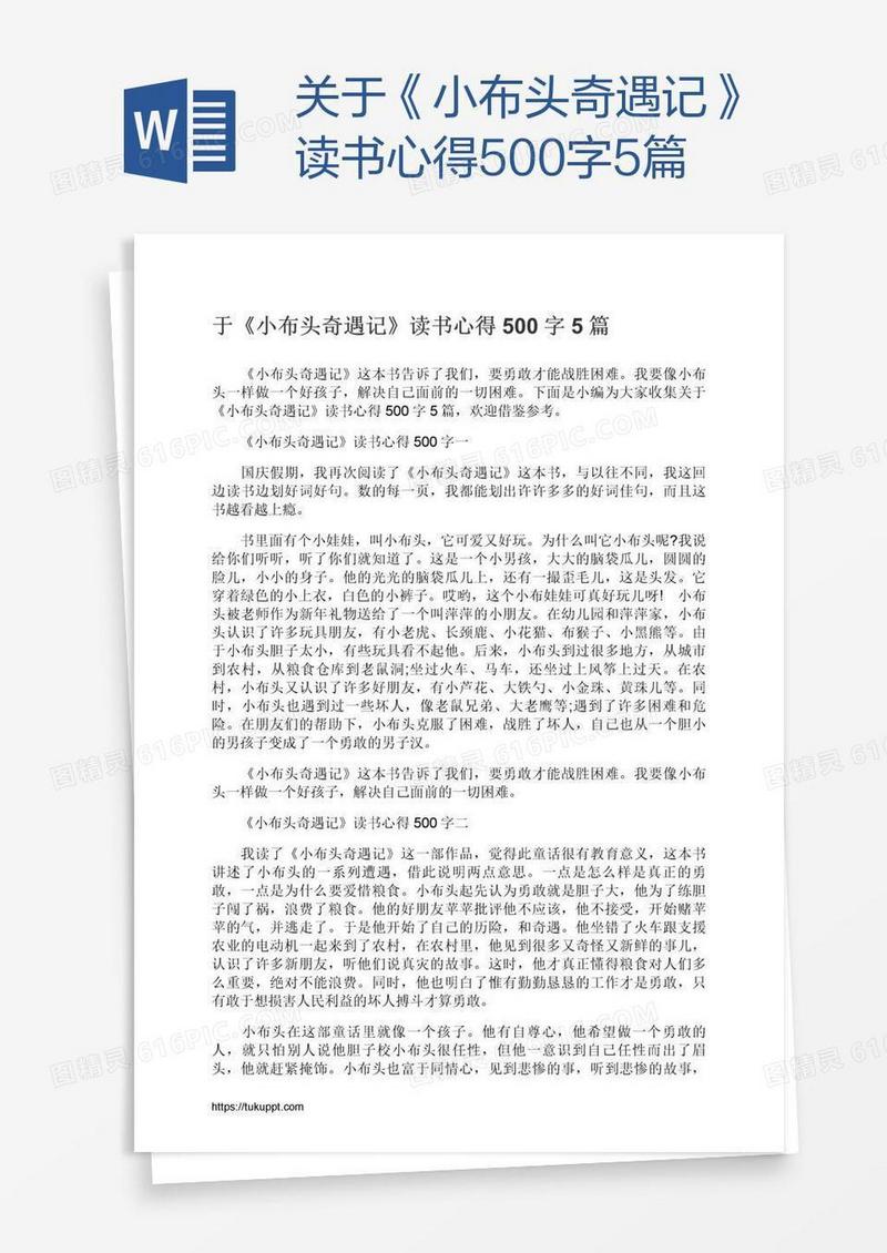 关于《小布头奇遇记》读书心得500字5篇