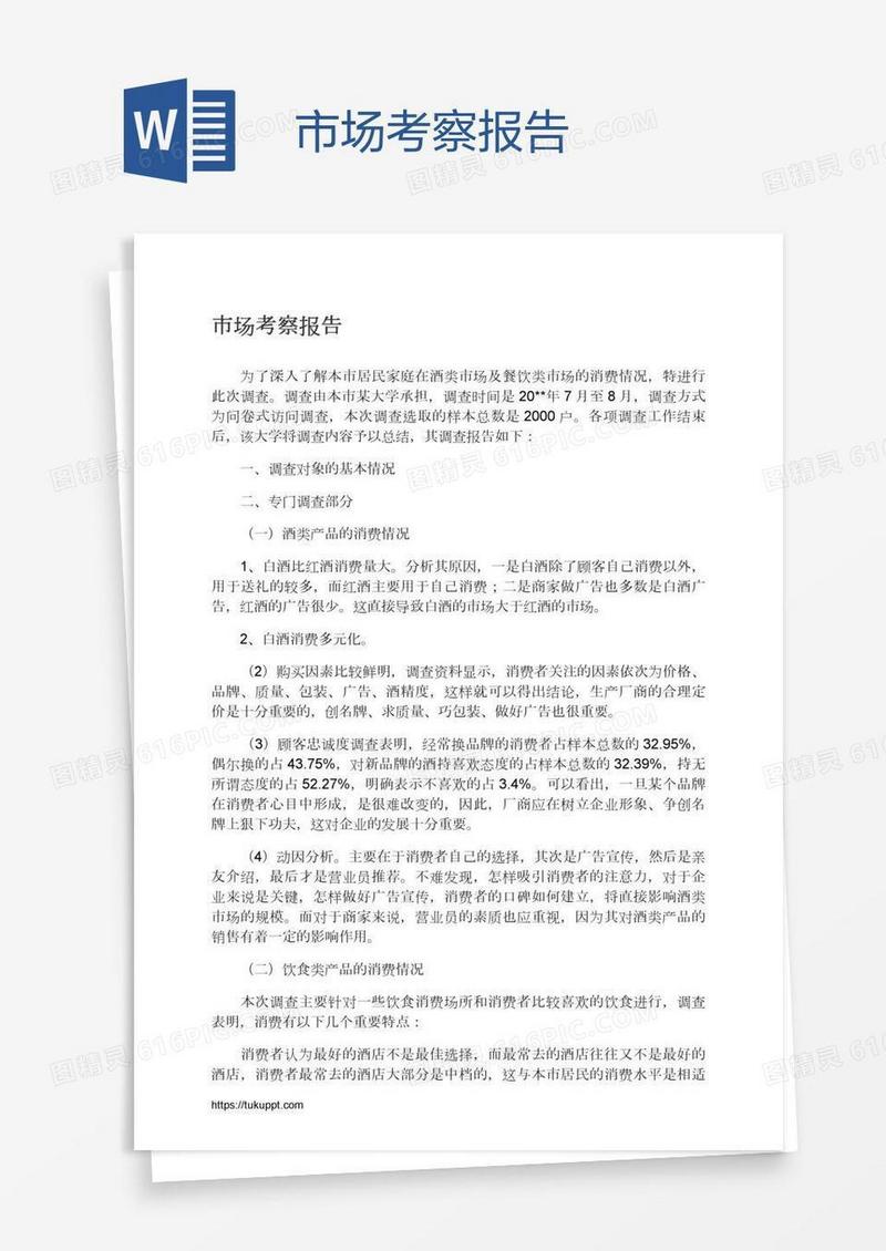 市场考察报告