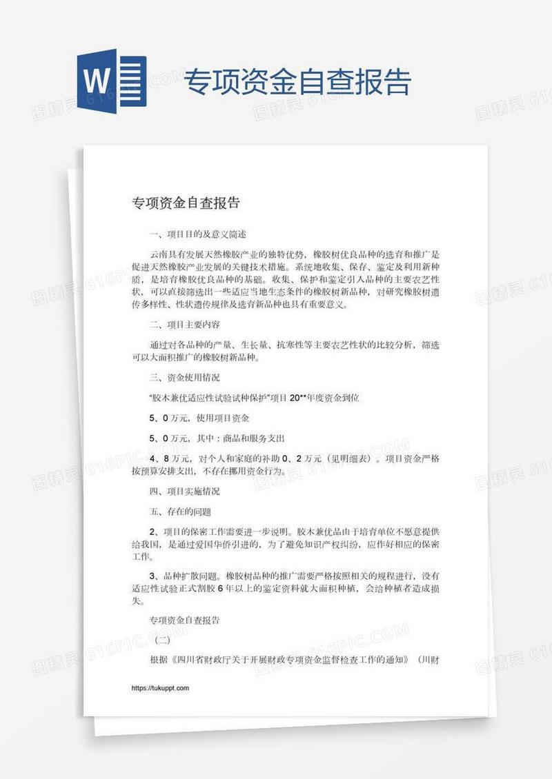 专项资金自查报告