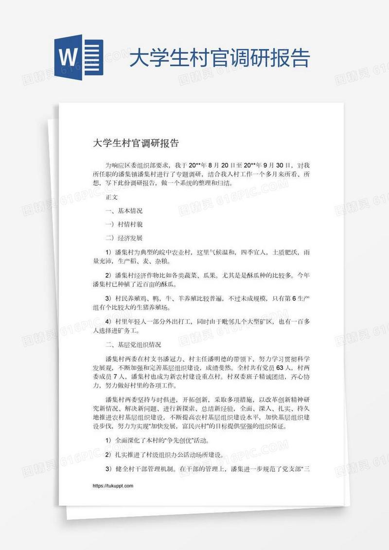大学生村官调研报告