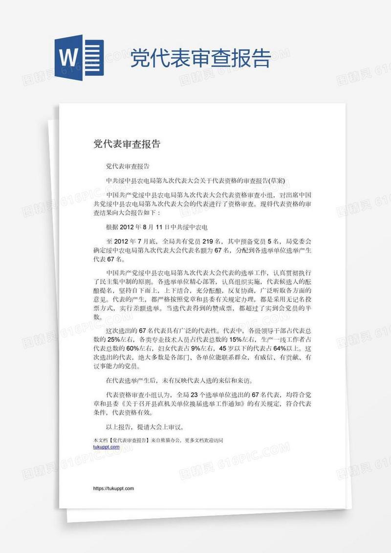 党代表审查报告