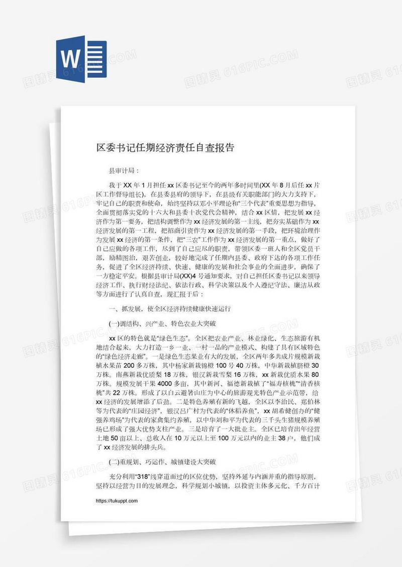 区委书记任期经济责任自查报告