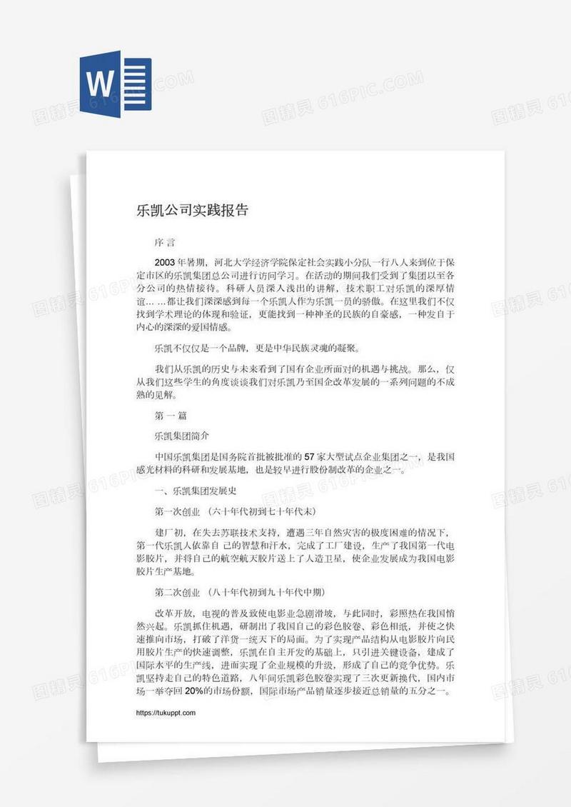 乐凯公司实践报告