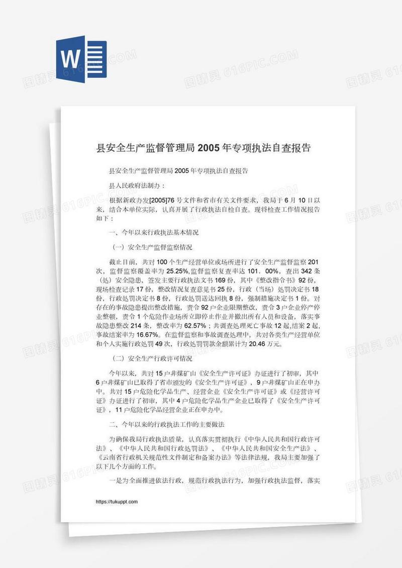 县安全生产监督管理局专项执法自查报告