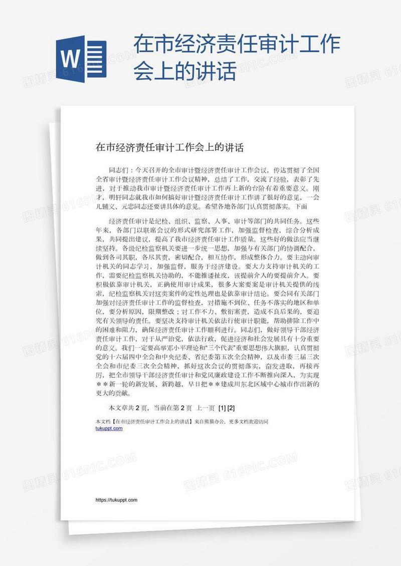 在市经济责任审计工作会上的讲话