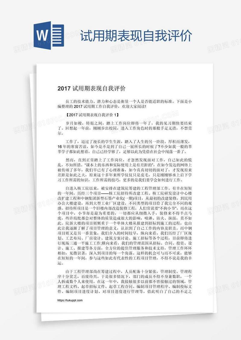 试用期表现自我评价