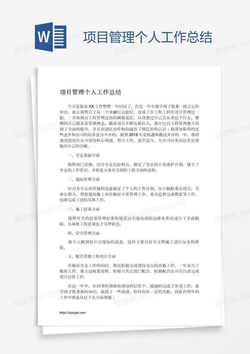 项目管理个人工作总结