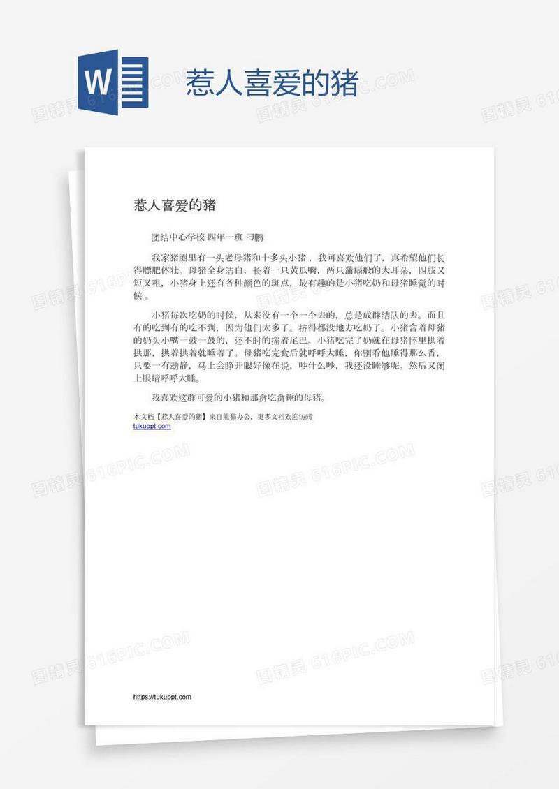 惹人喜爱的猪