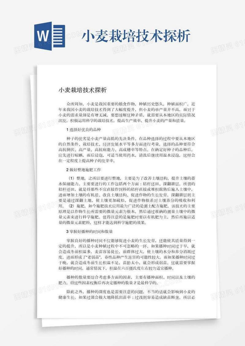 小麦栽培技术探析