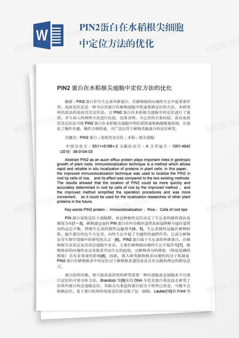 PIN2蛋白在水稻根尖细胞中定位方法的优化