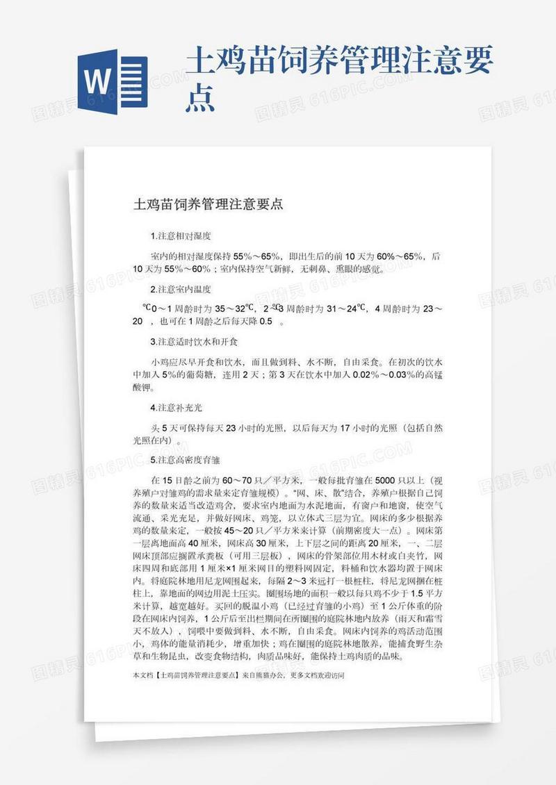 土鸡苗饲养管理注意要点