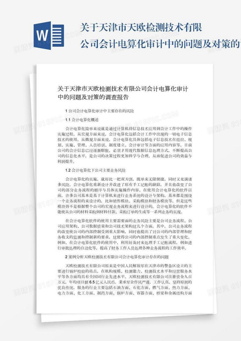 关于天津市天欧检测技术有限公司会计电算化审计中的问题及对策的调查报告
