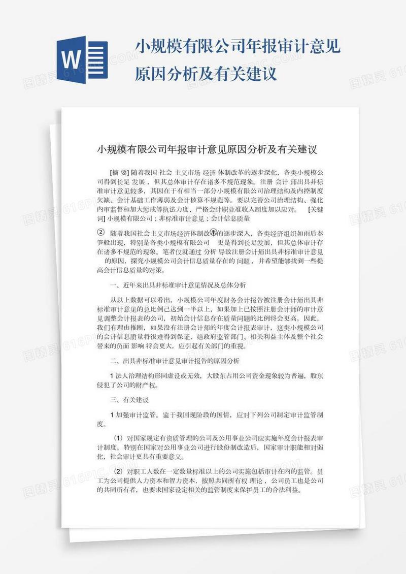 小规模有限公司年报审计意见原因分析及有关建议