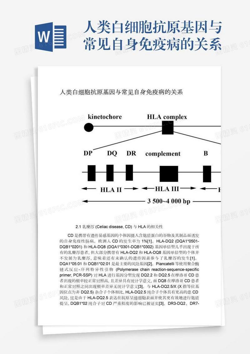 人类白细胞抗原基因与常见自身免疫病的关系