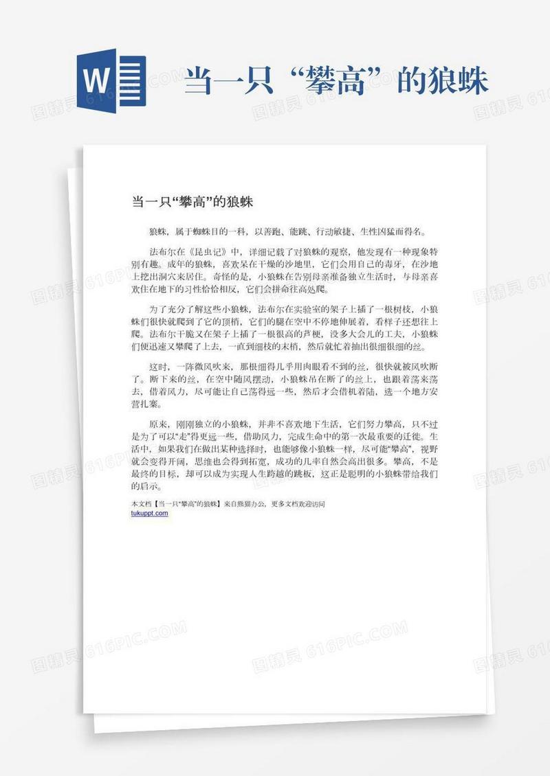 当一只“攀高”的狼蛛
