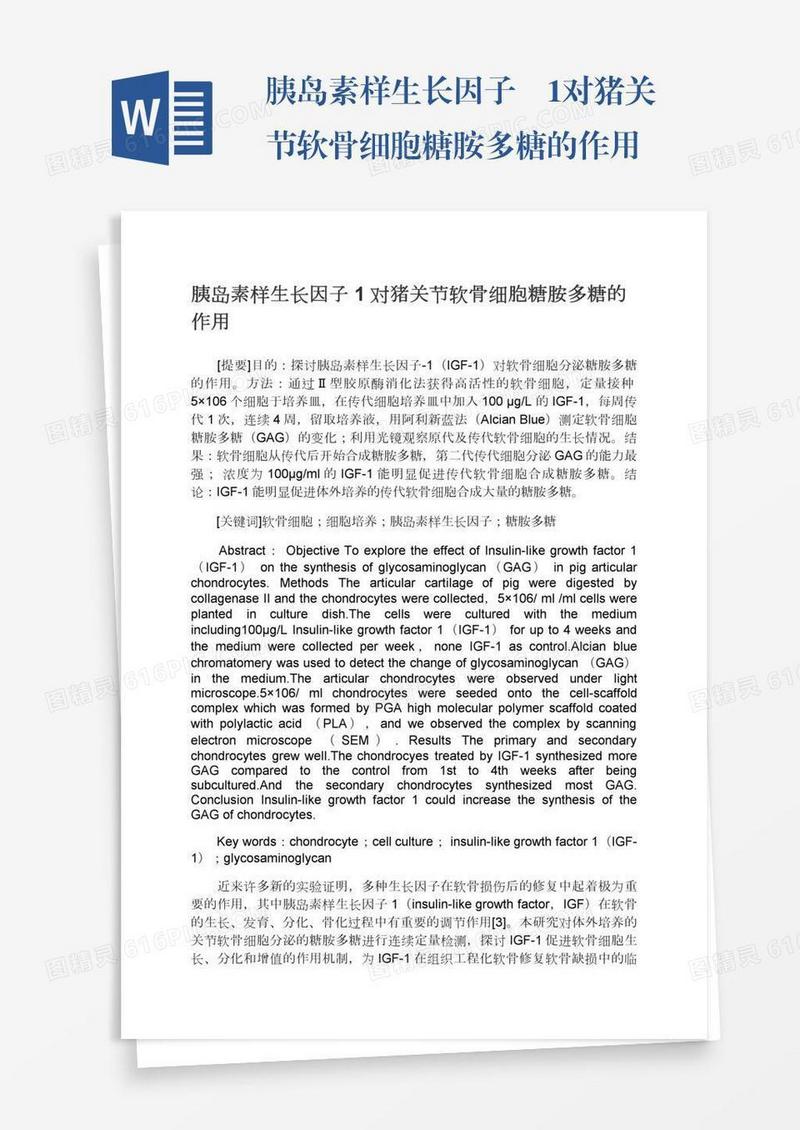 胰岛素样生长因子―1对猪关节软骨细胞糖胺多糖的作用