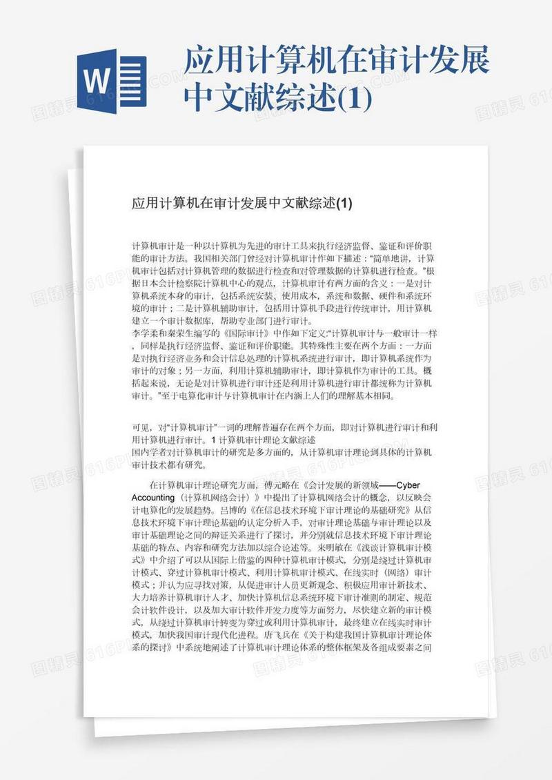 应用计算机在审计发展中文献综述(1)