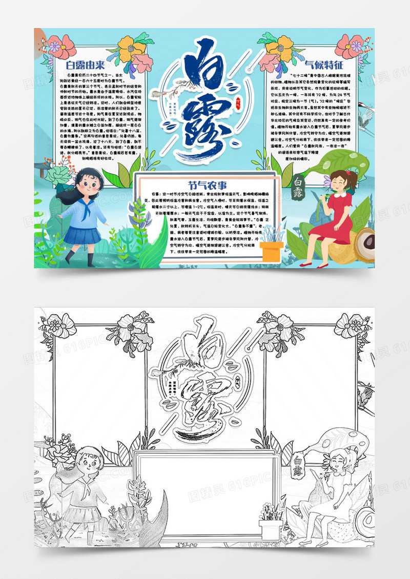 白露节气小报手抄报word模版